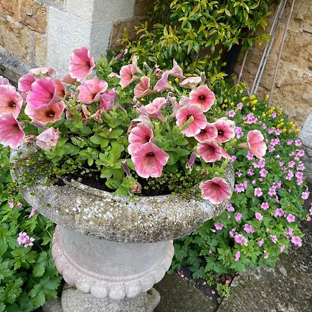 Ellesmere House Castle Cary Exterior foto