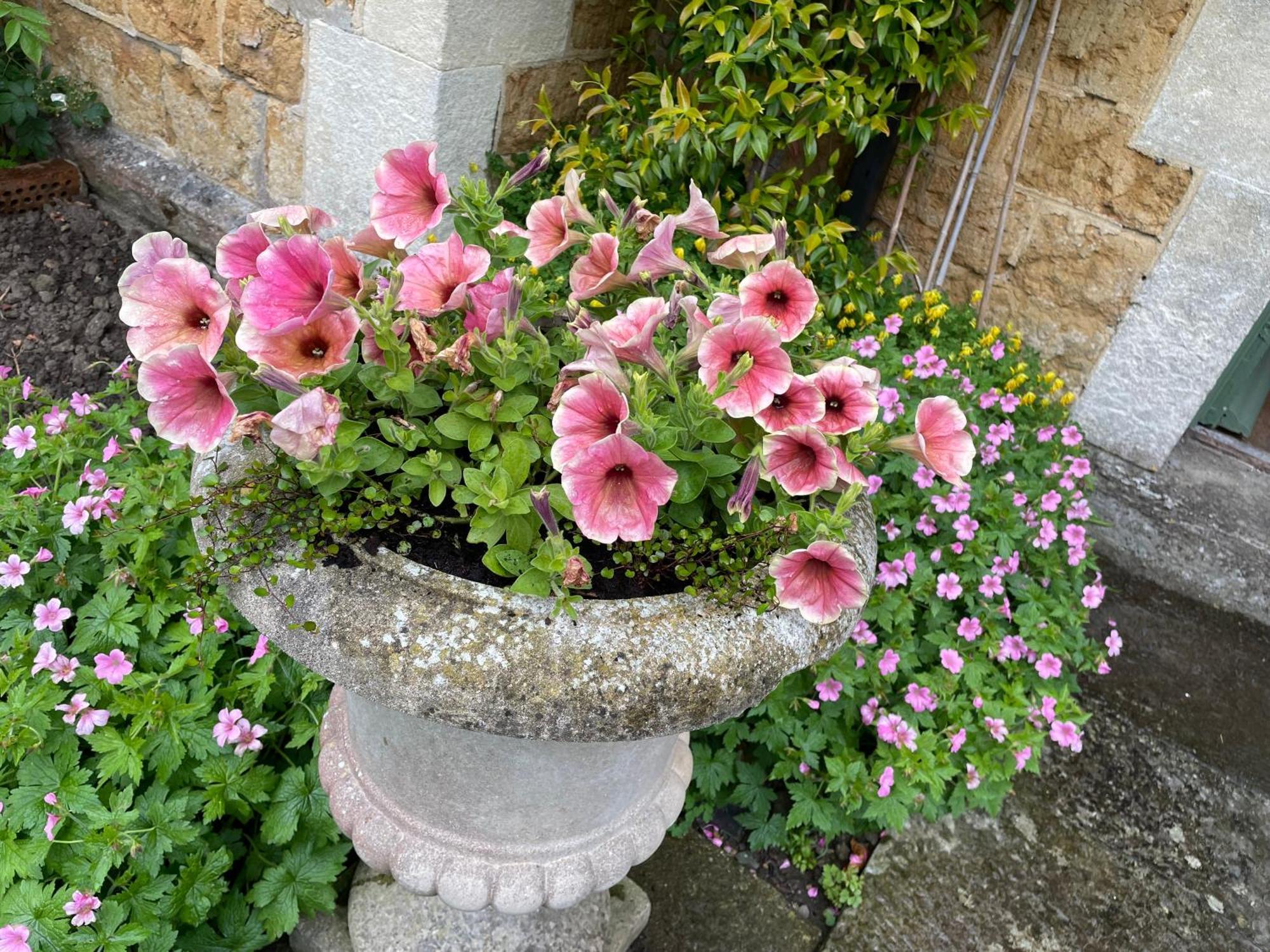 Ellesmere House Castle Cary Exterior foto